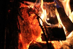 k-IMG_1487