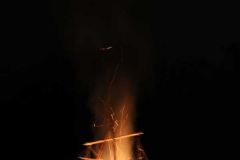 k-IMG_1494