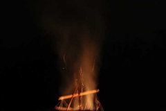 k-IMG_1495