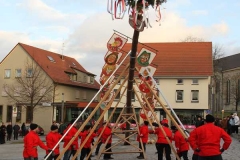 k-IMG_3221