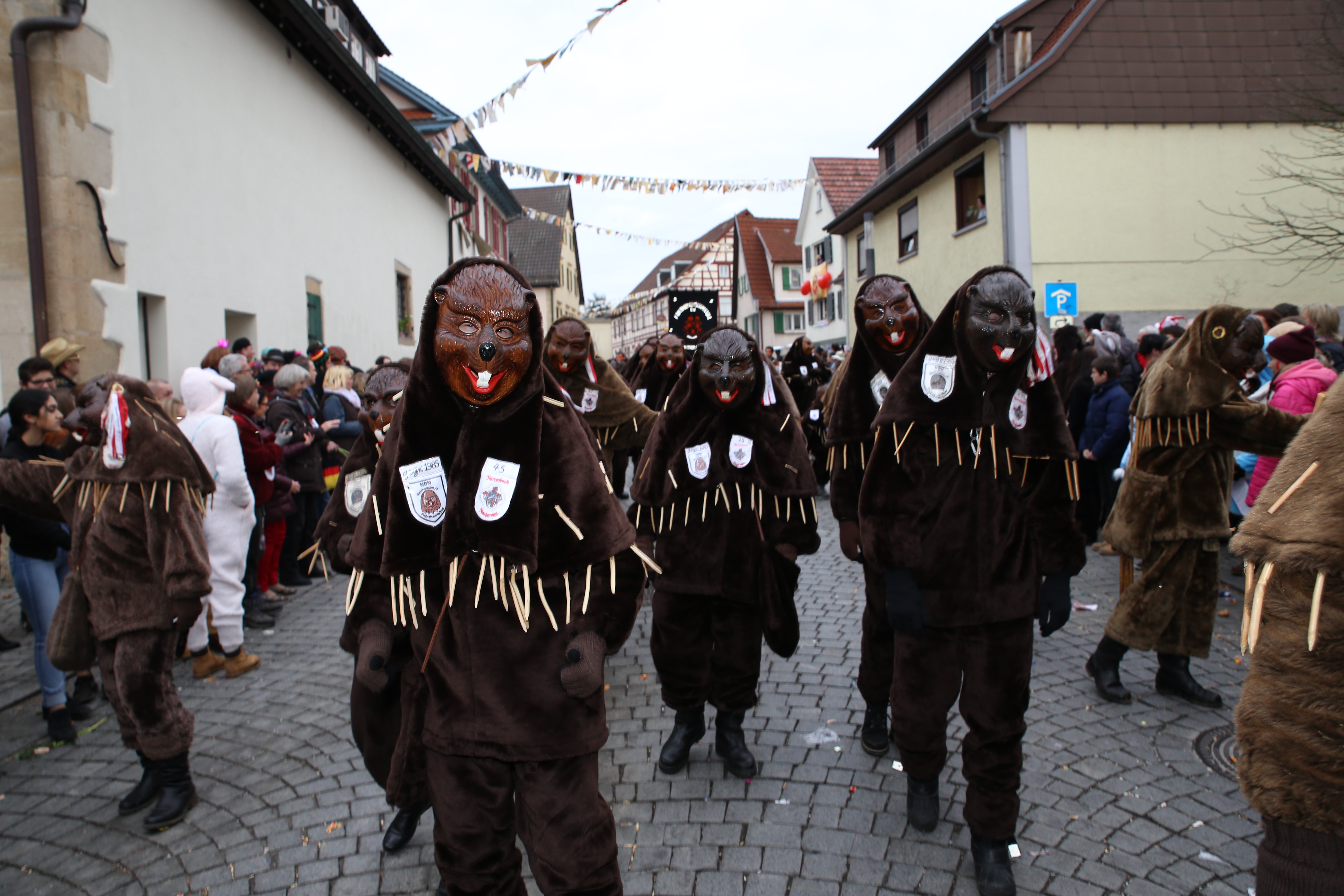 20160207_Fasnetsonntag 2016_0578
