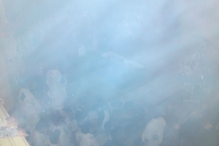 k-DSC01972