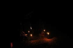 k-IMG_1337