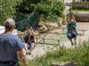 Biberausflug 2016-0669