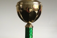 Pokal